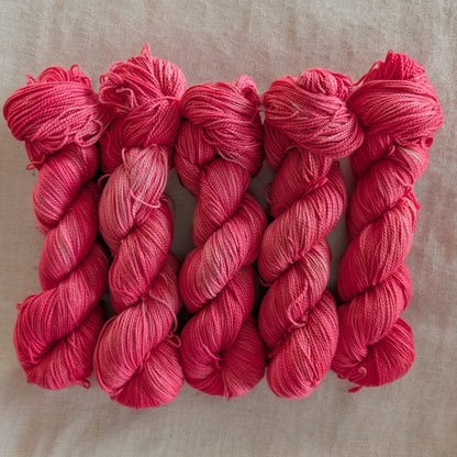 Coton Pima DK